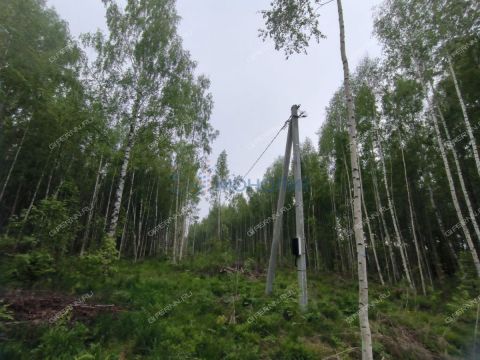 derevnya-besedy-gorodskoy-okrug-chkalovsk фото