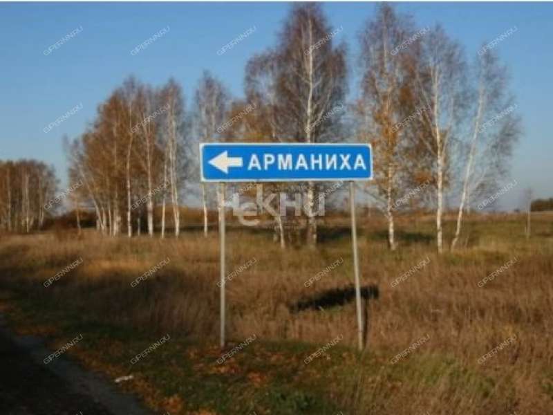 земельный участок 200 соток Центральная улица село Арманиха