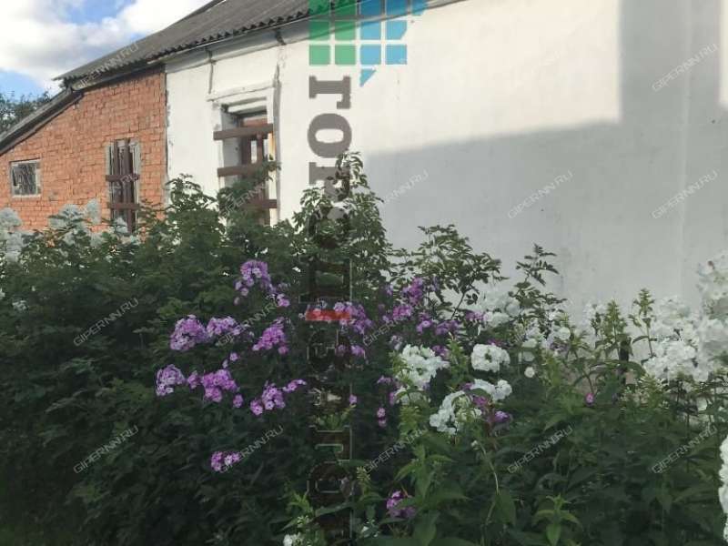 Купить Дом В Деревне Кожевенное Богородского
