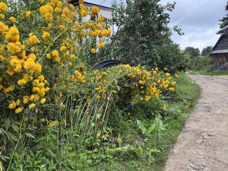 сад на Широтной улице