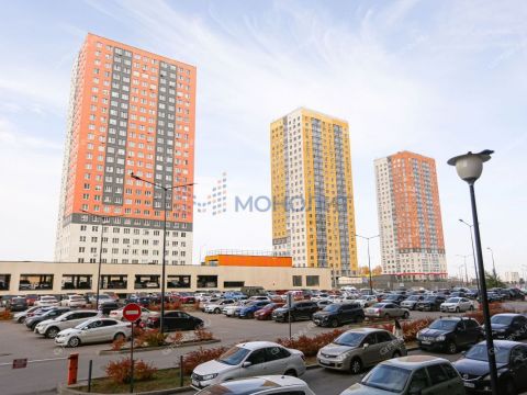 1-komnatnaya-derevnya-ankudinovka-kstovskiy-rayon фото