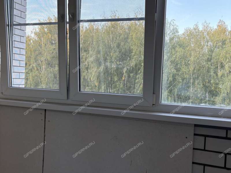 двухкомнатная квартира на Парковой улице дом 6 город Кстово