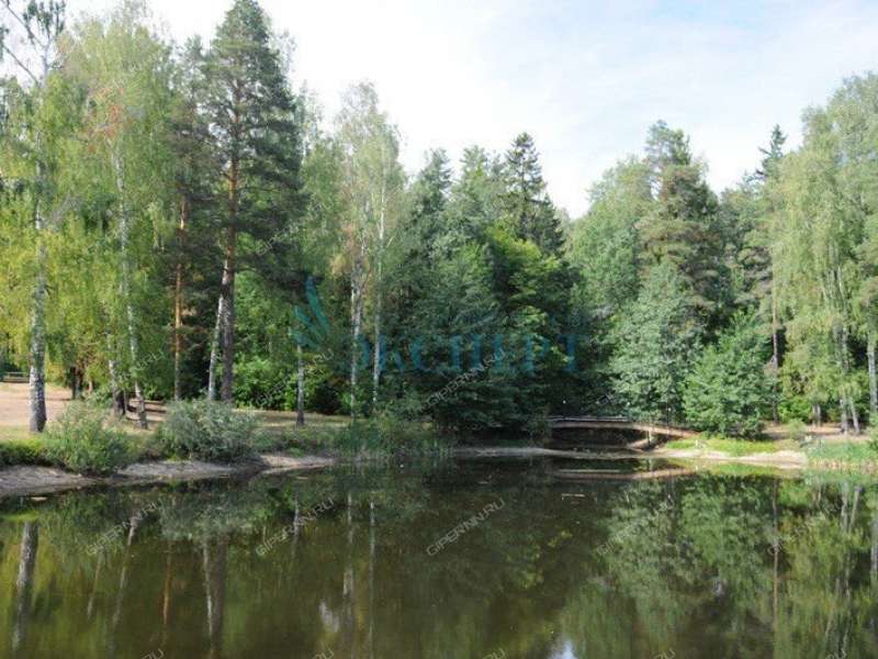 Г зеленый. Санаторий зелёный город Нижегородская область. Зеленый городок Нижний Новгород. Поселок зеленый город Нижний Новгород. Курортный посёлок зелёный город Нижний Новгород.