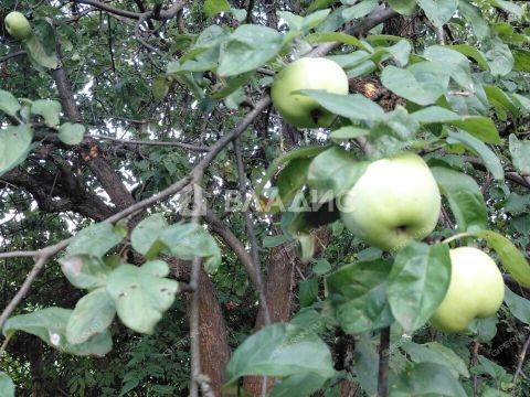 dom-rabochiy-poselok-vyezdnoe-gorodskoy-okrug-arzamas фото