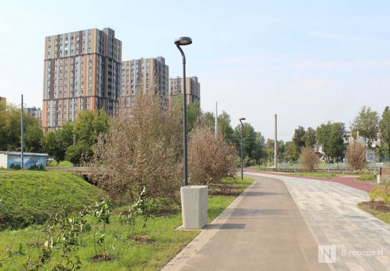 Фото: Надя Кей / vgoroden.ru
