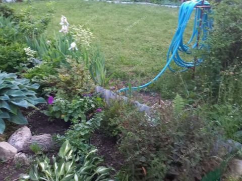 dacha-gorod-bor-gorodskoy-okrug-bor фото