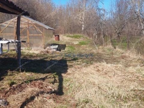 dacha-derevnya-prudy-pavlovskiy-municipalnyy-okrug фото