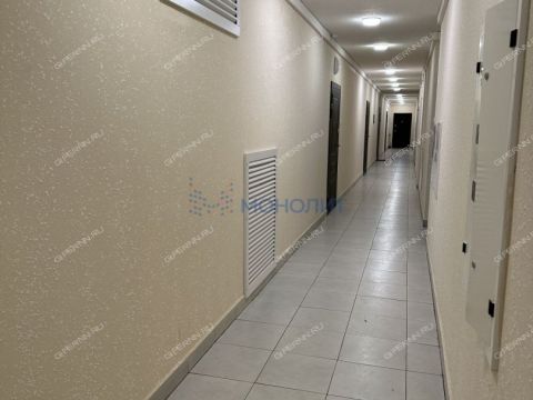 1-komnatnaya-derevnya-ankudinovka-kstovskiy-rayon фото
