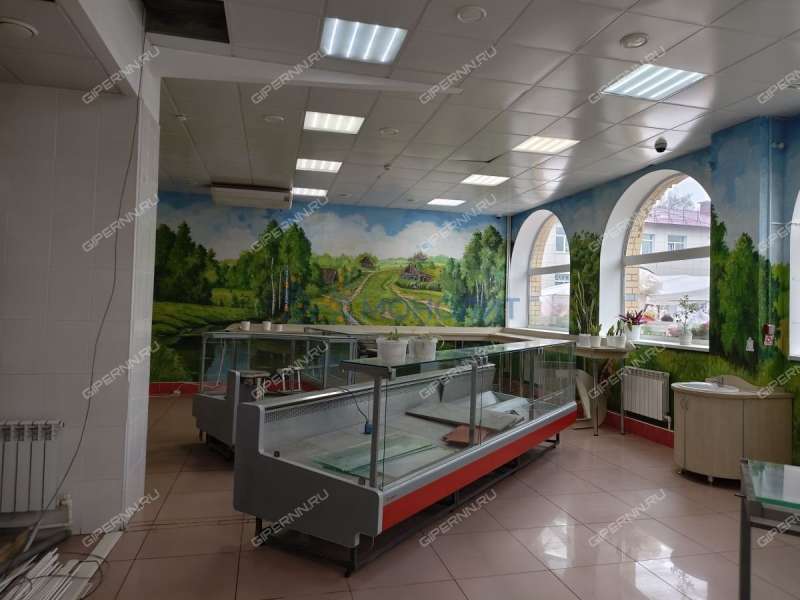 помещение под помещение свободного назначения, торговую площадь на Советской площади город Балахна