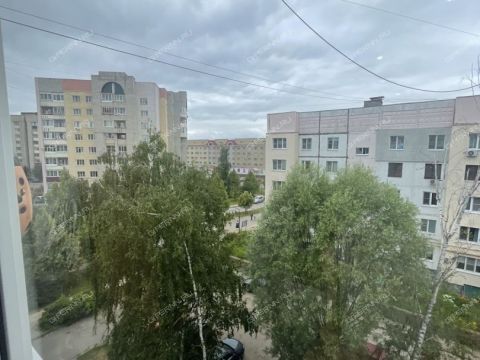 3-komnatnaya-gorod-vyksa-gorodskoy-okrug-vyksa фото