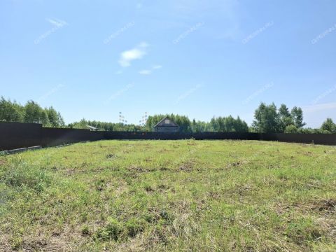 dom-derevnya-zaozere-bogorodskiy-municipalnyy-okrug фото