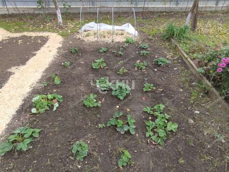 дом на Севастопольской улице