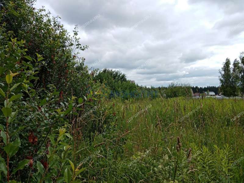 земельный участок 7,5 сотки Пригородная улица деревня Высоково