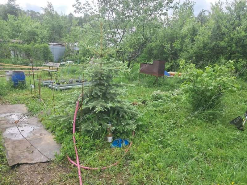 земельный участок 5,6 сотки СНТ Строитель 89 рабочий посёлок Первое Мая