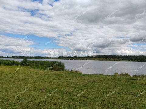 derevnya-inyutino-bogorodskiy-municipalnyy-okrug фото