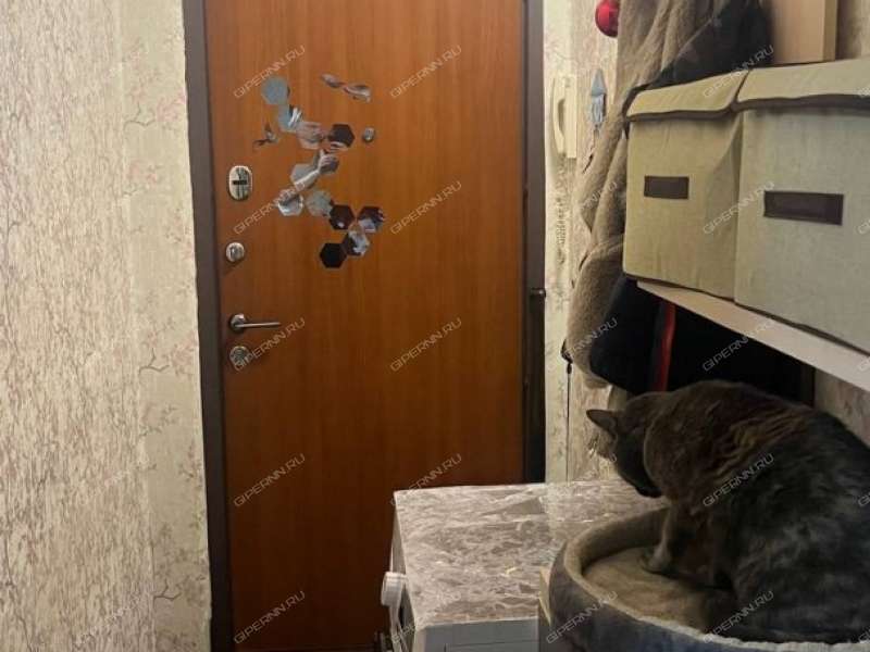 двухкомнатная квартира на Большевистской улице дом 6