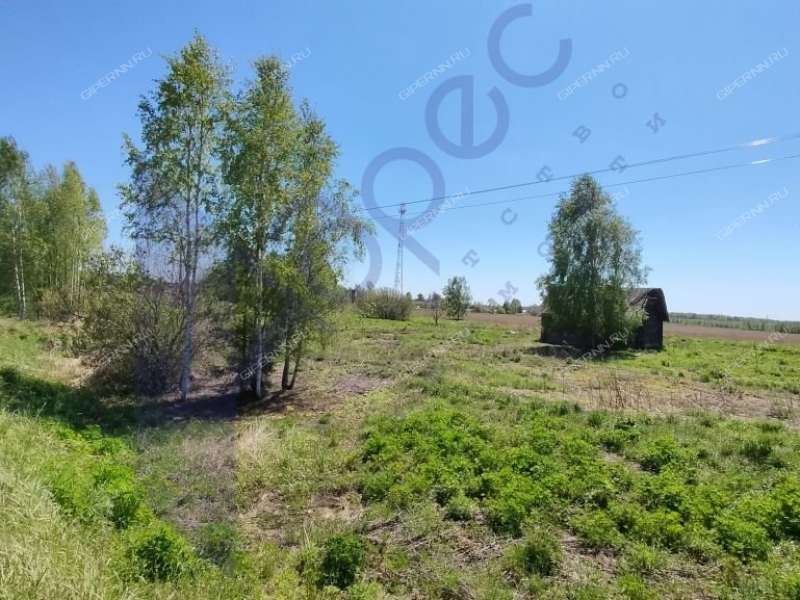 земельный участок под коммерческое использование в городском округе Сокольский Нижегородской области