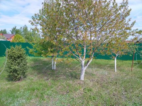 dom-selo-motmos-gorodskoy-okrug-vyksa фото