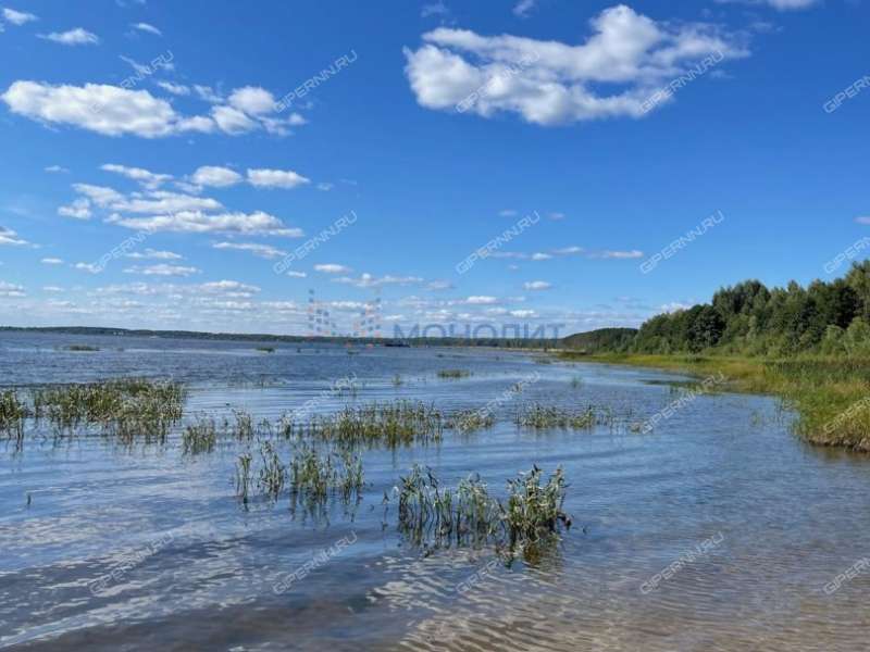 земельный участок 280 соток Лесная улица село Нижний Красный Яр