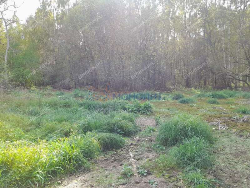 земельный участок 500 соток деревня Боярское