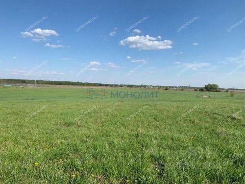 snt-landysh-gorodskoy-okrug-bor фото