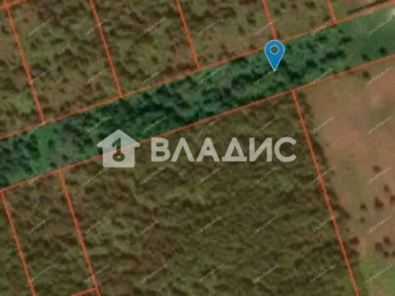 земельный участок 100 соток село Дуденево