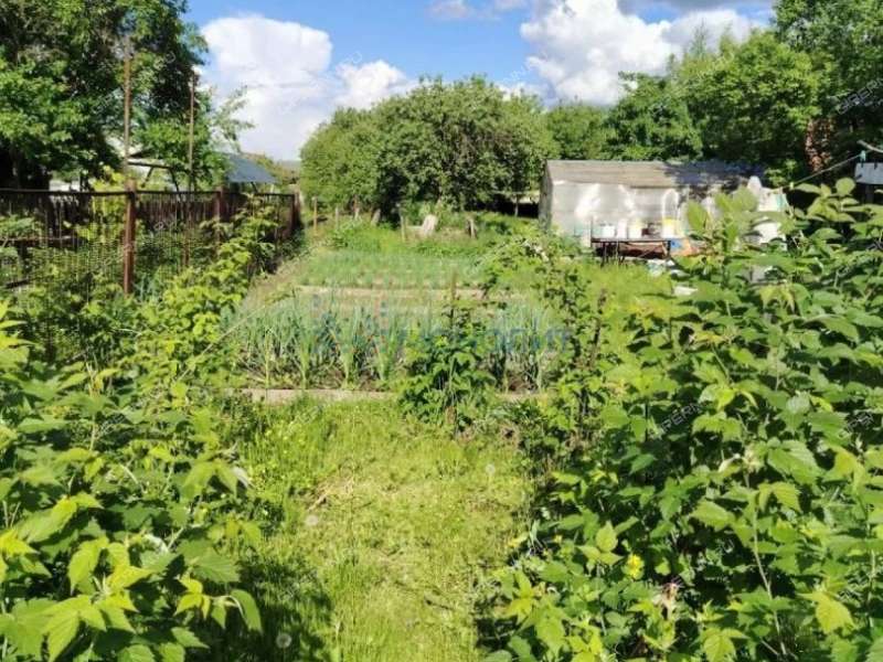 земельный участок 6,5 сотки Рогуново улица городской округ Бор
