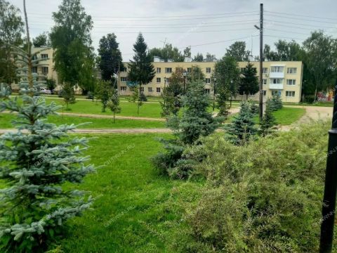 2-komnatnaya-derevnya-prokoshevo-kstovskiy-rayon фото