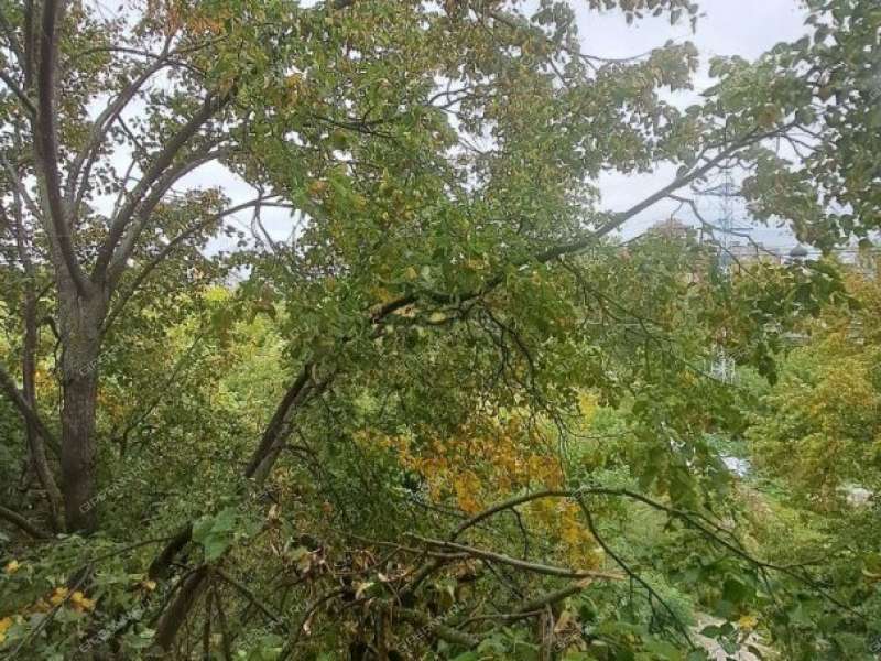 однокомнатная квартира на Берёзовской улице дом 70