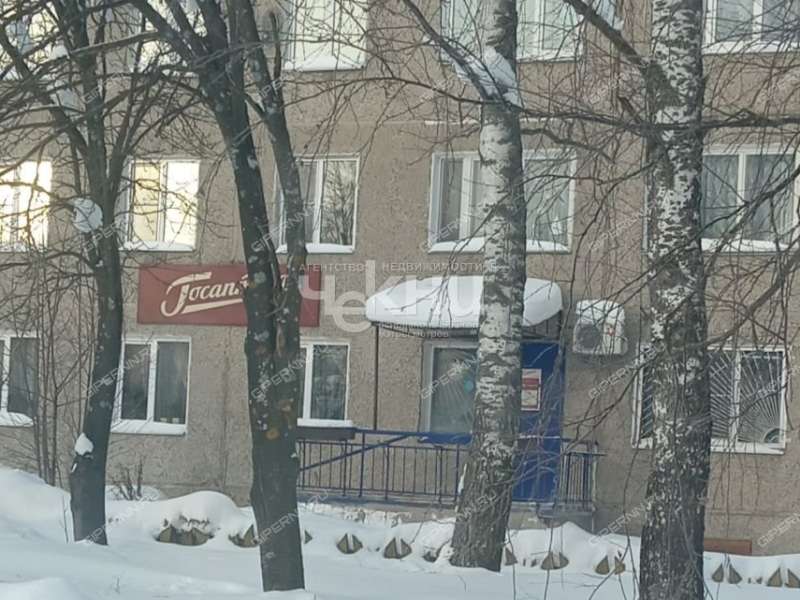 однокомнатная квартира на улице Ветеранов дом 12 село Зиняки