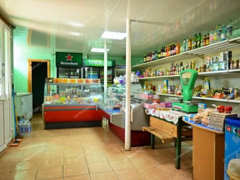 derevnya-vypolzovo-bogorodskiy-municipalnyy-okrug фото