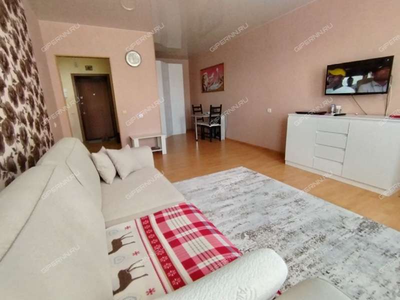 однокомнатная квартира на Полевой улице дом 8 город Кстово