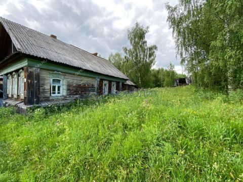 derevnya-sosnovka-gorodeckiy-rayon фото