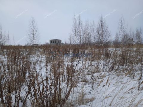 derevnya-burcevo-bogorodskiy-municipalnyy-okrug фото