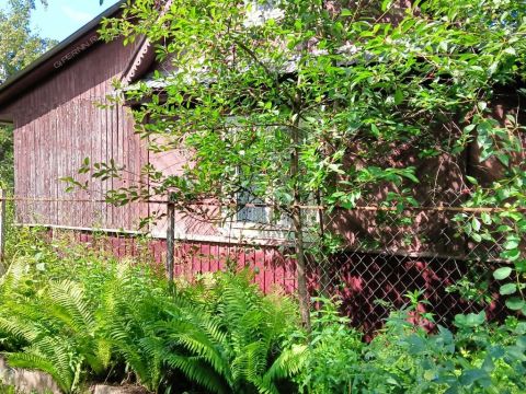 dacha-tsn-n-5-gaz фото