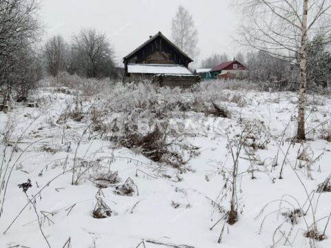 dom-derevnya-bezvodnoe-shaldezhskiy-selsovet-semenovskiy-gorodskoy-okrug фото