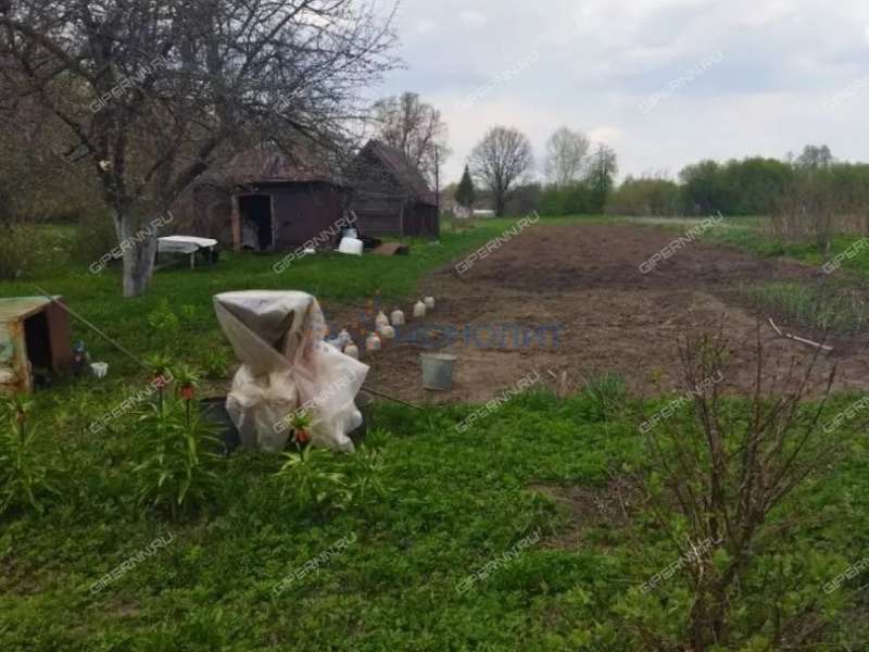 дом на Центральной улице село Дубское