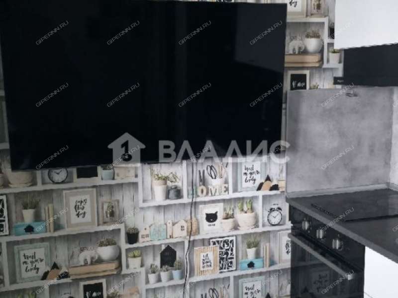 однокомнатная квартира на Московском шоссе дом 167 к3