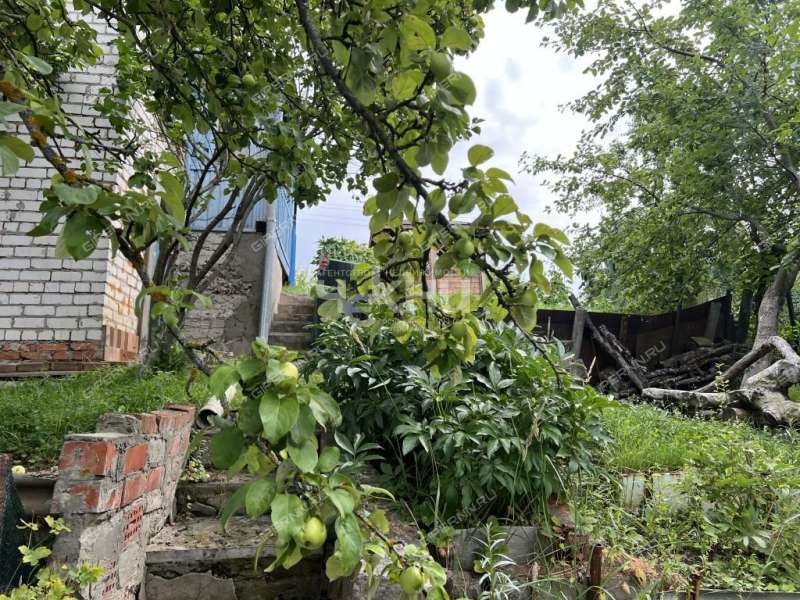 дом на «Маяк» садовое товарищество