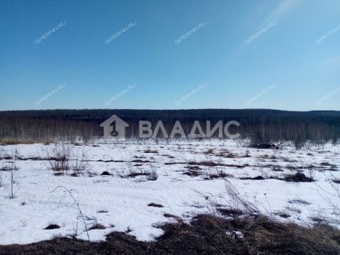 selo-bezvodnoe-kstovskiy-rayon фото