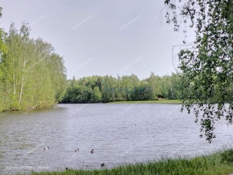 2-komnatnaya-ul-shimborskogo-d-4 фото