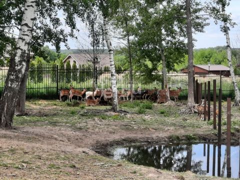 dom-derevnya-stupino-gorodskoy-okrug-chkalovsk фото