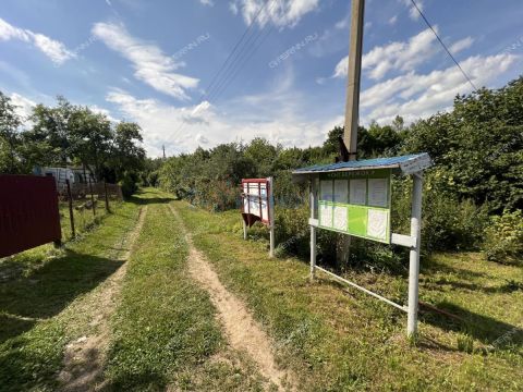 sad-berezhok-derevnya-shoniha-ter-snt-bogorodskiy-municipalnyy-okrug фото