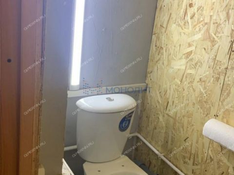 derevnya-afonino-kstovskiy-rayon фото