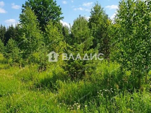 kottedzhnyy-poselok-snegiri-bogorodskiy-municipalnyy-okrug фото