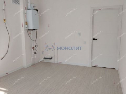 1-komnatnaya-poselok-kultura-kstovskiy-rayon фото