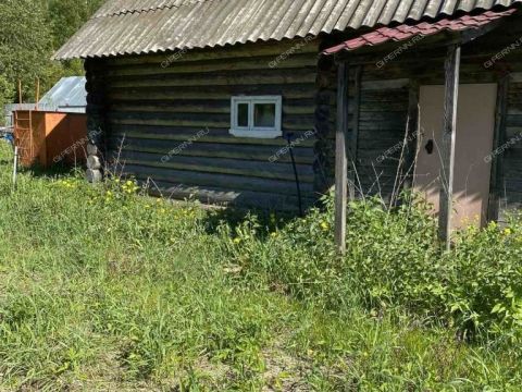 dom-derevnya-shhepachiha-pavlovskiy-municipalnyy-okrug фото