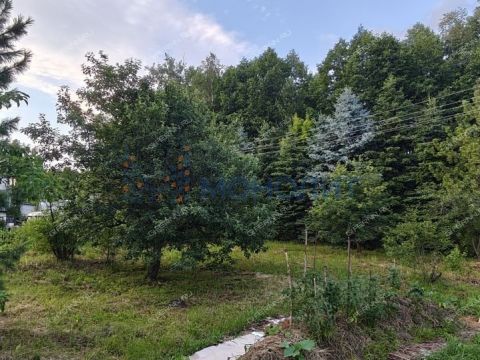 dom-selo-redkino-redkinskiy-selsovet-gorodskoy-okrug-bor фото