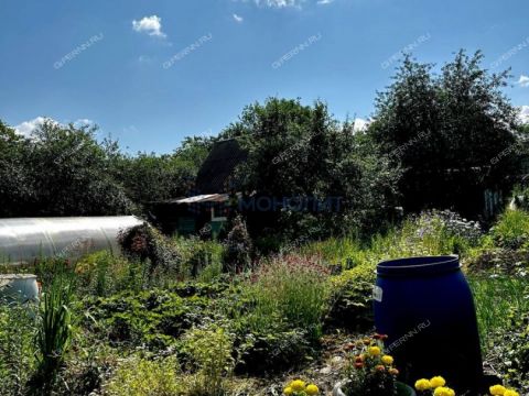 dacha-snt-druzhba-snt-druzhba фото