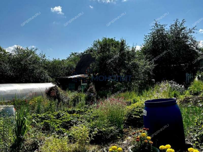 дача на СНТ Дружба